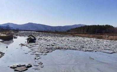 最新的爆料伊春矿库,揭秘事故真相与救援进展