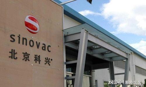 科兴中维最新爆料消息,揭秘疫苗研发背后的故事与挑战”