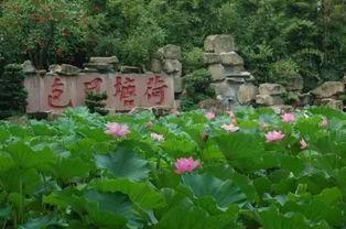 成都武侯祠最新爆料消息,历史遗迹与文化新篇