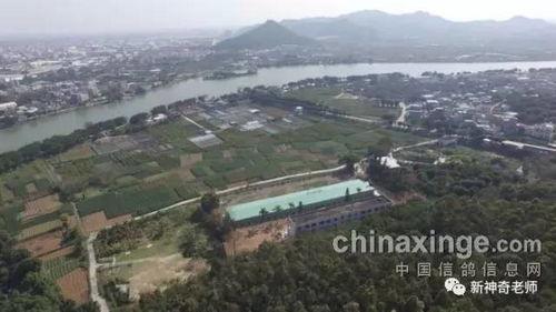 隆都沟墘村最新爆料,揭秘神秘事件背后的真相！”